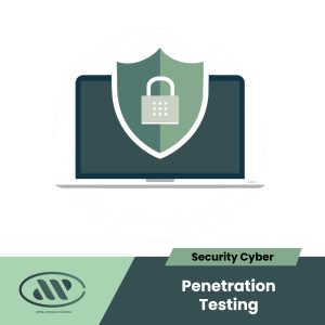 Penetration Testing